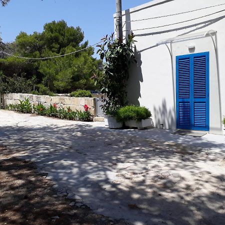 Casa La Pineta Villa Sant'Andrea  Exterior photo